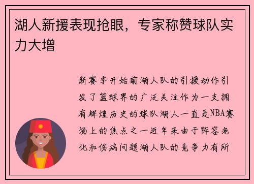 湖人新援表现抢眼，专家称赞球队实力大增
